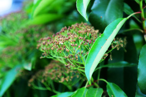 科技改变生活，电竞科技创新展正在发生！